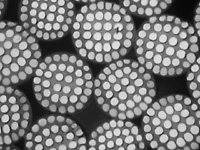 water soluble sea-island fiber (Correction, Jan 5, 2006)