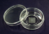 Disposal dish
