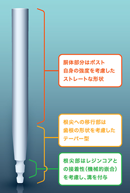胴体部分はポスト自身の強度を考慮したストレートな形状　根尖への移行部は歯根の形状を考慮したテーパー型　根尖部はレジンコアとの接着性（機械的嵌合）を考慮し、溝を付与