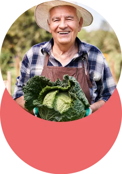 Mejora agroquímicos y cultivos ambientales