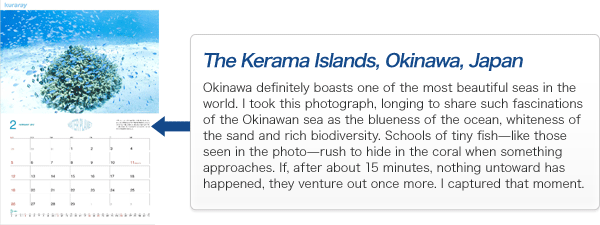 Okinawa definitely boasts one of the most beautiful seas in the world. I took this photograph, longing to share such fascinations of the Okinawan sea as the blueness of the ocean, whiteness of the sand and rich biodiversity. Schools of tiny fish—like those seen in the photo—rush to hide in the coral when something approaches. If, after about 15 minutes, nothing untoward has happened, they venture out once more. I captured that moment.