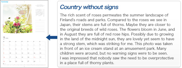 Country without signs The rich scent of roses permeates the summer landscape of Finland’s roads and parks. Compared to the roses we see in Japan, their stems are full of thorns. Maybe they are closer to the original breeds of wild roses. The flowers bloom in June, and in August they are full of red rose hips. Possibly due to growing in the land of the midnight sun, they are lovely yet seem to have a strong stem, which was striking for me. This photo was taken in front of an ice cream stand at an amusement park. Many children were around, but no warning signs were to be seen. I was impressed that nobody saw the need to be overprotective in a place full of thorny plants.